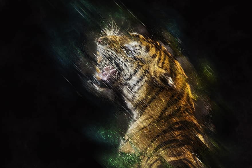 Tigre, gato, Gato grande, animal, felino, depredador, rugido, animal salvaje, cazador, peligroso, fauna silvestre