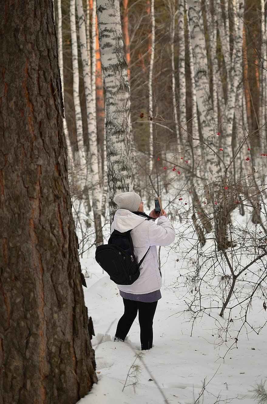 vrouw, wandelen, Bos, winter, sneeuw, bomen, bossen, natuur, avontuur, mannen, boom