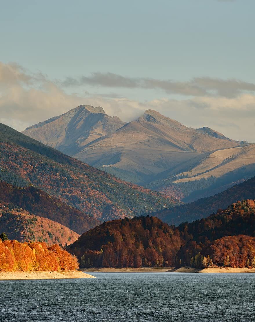 Landscape, Mountains, Lake, Nature, Forest, Trees, Carpathian, mountain, water, autumn, tree
