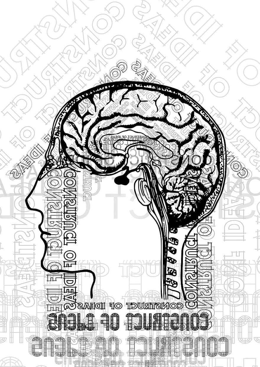 tanker, Konstruerer, ansikt, silhouette, hjerne, Denkapparat, presentasjon, hus, konstruksjon, konstruere, tankeboble