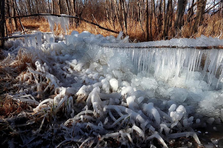 Stream, Frost, Frozen Stream, Frozen River, Forest, ice, winter, snow, frozen, season, tree