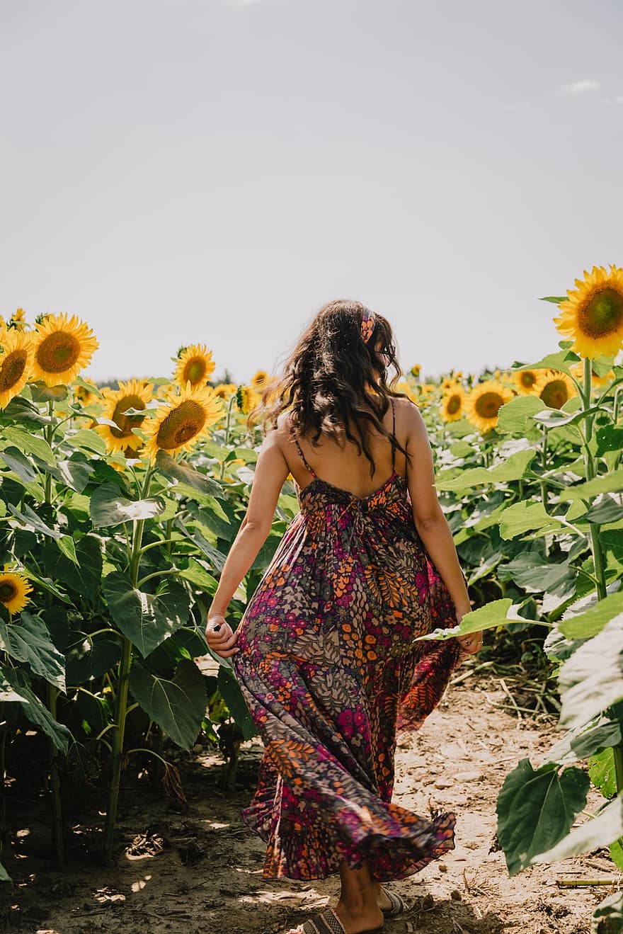 wanita, bunga matahari, bidang bunga matahari, bunga-bunga, alam, perempuan, musim panas, dewasa, bunga, satu orang, gaya hidup