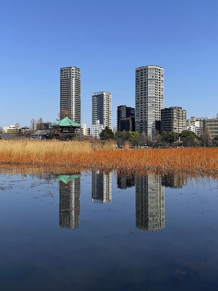 місто, Ставок Шинобазу, Японія, ставок, багатоквартирні будинки, архітектура, будівель, міський пейзаж, поле, трави, висотні будівлі