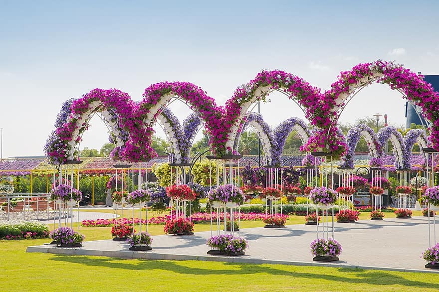 Garden, Nature, Park, Outdoors, Botany, Decoration, Flower, Grass, Arch, Blooming, Blossom