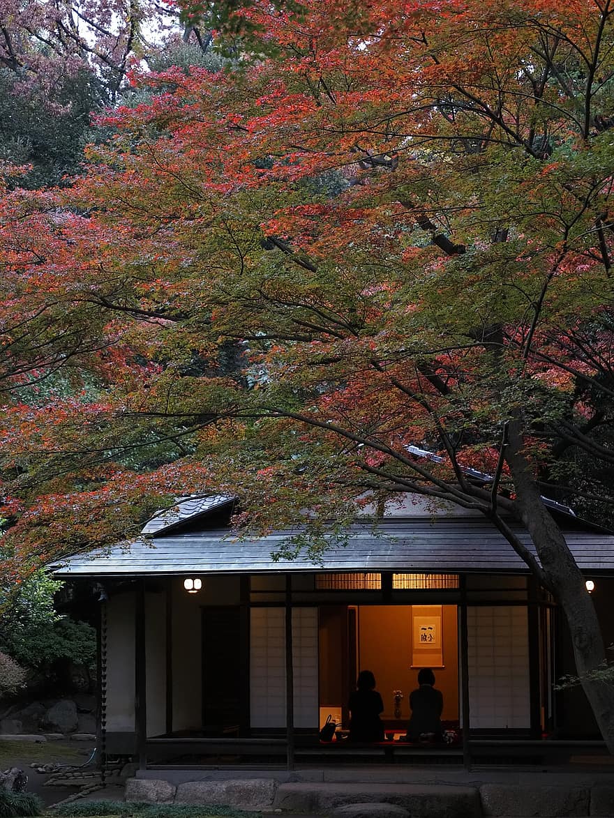 parque, otoño, jardín, hojas otoñales, Japón