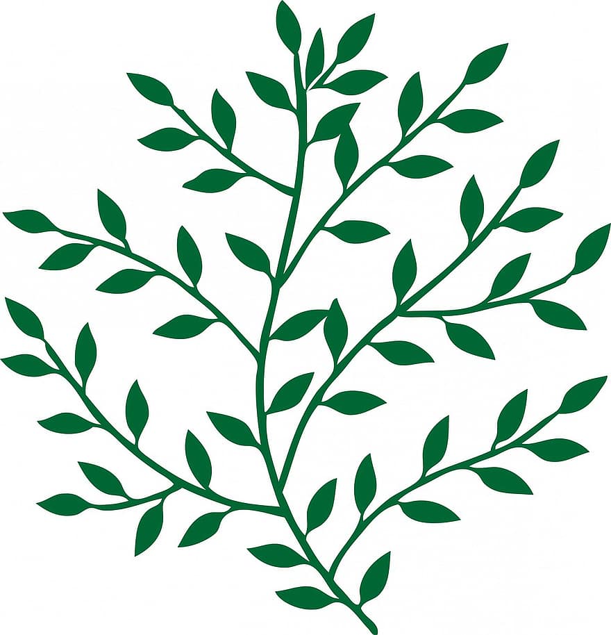löv, blad, gren, grön, vit, bakgrund, konst, dekorativ