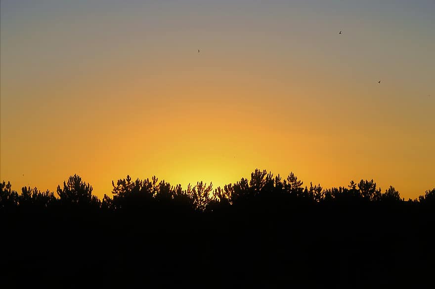 posta de sol, a la tarda, cel, paisatge, rural