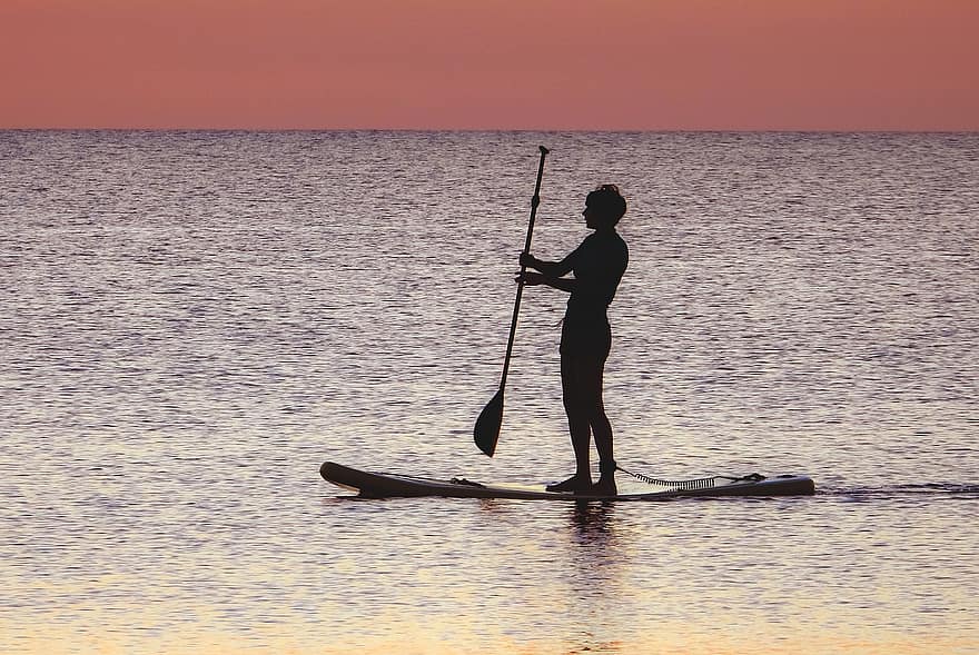 paddleboarding, standup paddleboarding, hav, vattensport, semester, fritid, solnedgång, åra, vatten, män, sport