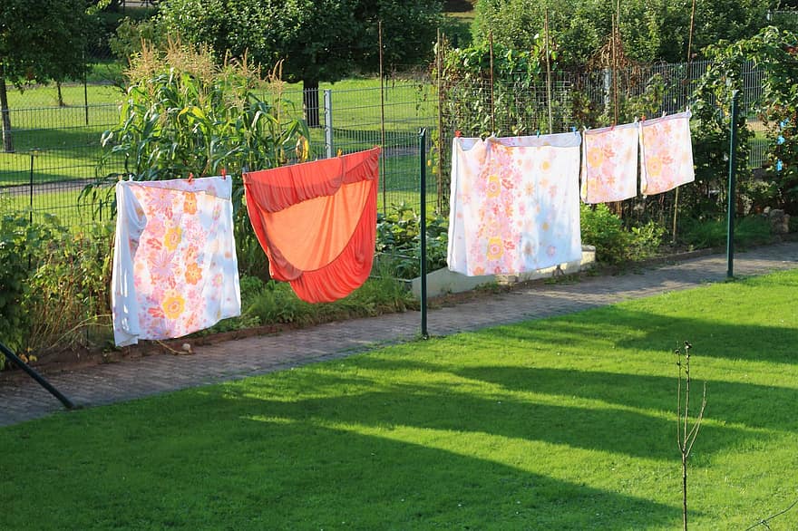tendedero, lavandería, jardín, línea de lavado, el secado, luz del sol, patio interior