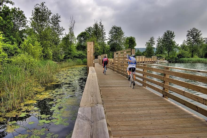 lago, camino peatonal, pista para bicicletas, bicicletas, ciclistas, actividad al aire libre, ponte di legno, Lago Comabbio, lombardía, Italia, plantas acuáticas