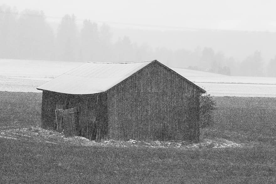 nevar, hivern, neu, edifici, agrícola, edifici agrícola, vell, paisatge, herba, escena rural, blanc i negre