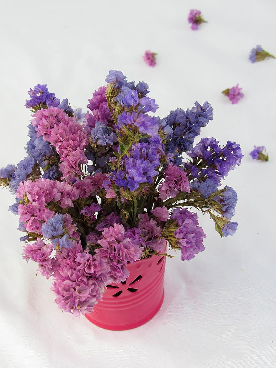 fleurs, Floraison, décoration, vase, fleur, plante, bouquet, violet, feuille, fermer, tête de fleur