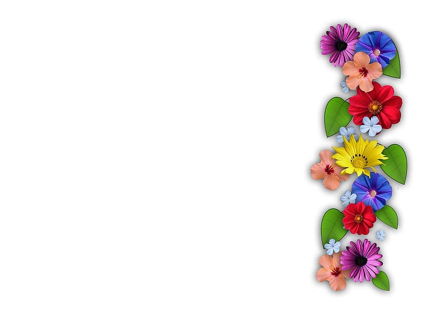 Blumen, Collage, Kombination, Sommer-, Frühling, Pflanze, Natur, Blatt, Grafik, Flora, Dekoration