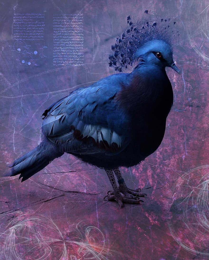 голубь, птица, животное, оперение, синий, прекрасный, камень
