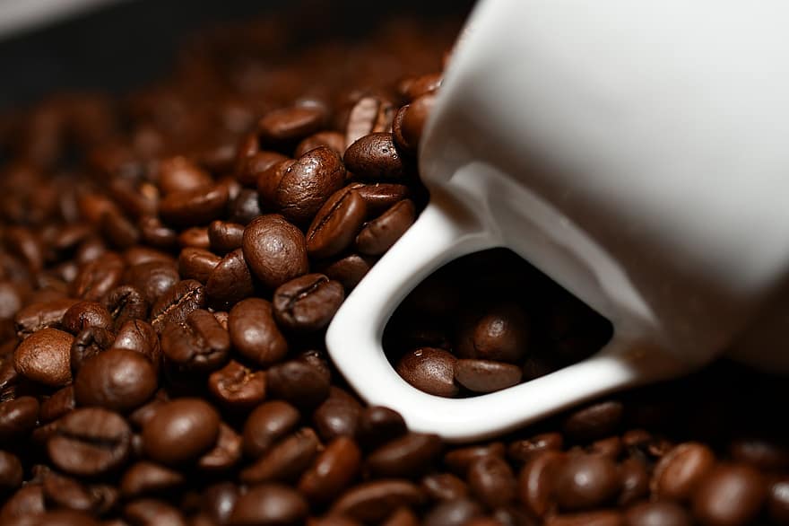 кофе, фасоль, семена, кружка, кофеин, кофейные зерна, кафе, аромат, жареный, питание, напиток