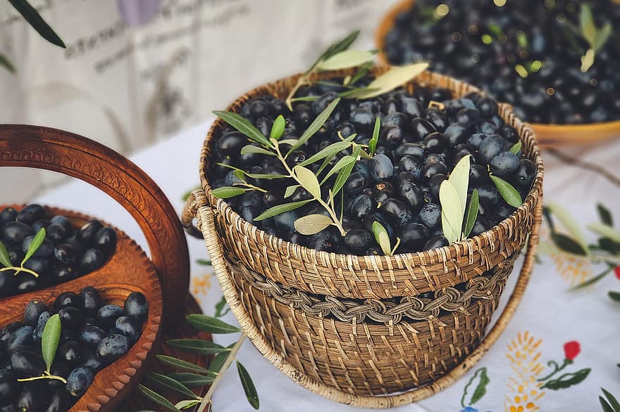 Olives, Olives noires, récolte, aliments, nutrition, en bonne santé