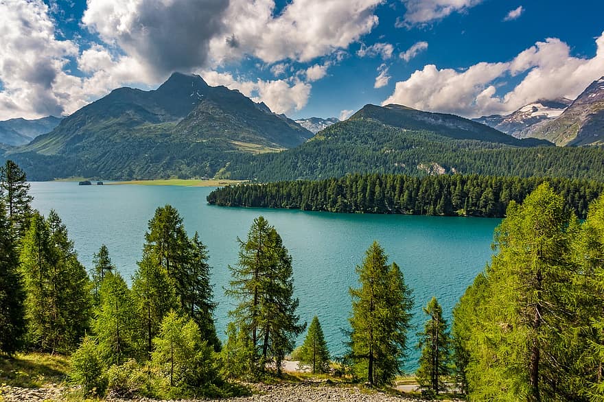 ทะเลสาป, ภูเขา, ต้นไม้, เทือกเขา, ป่า, ความเป็นป่า, ธรรมชาติ, Engadin, เมซาซัลวา, Graubünden, ประเทศสวิสเซอร์แลนด์