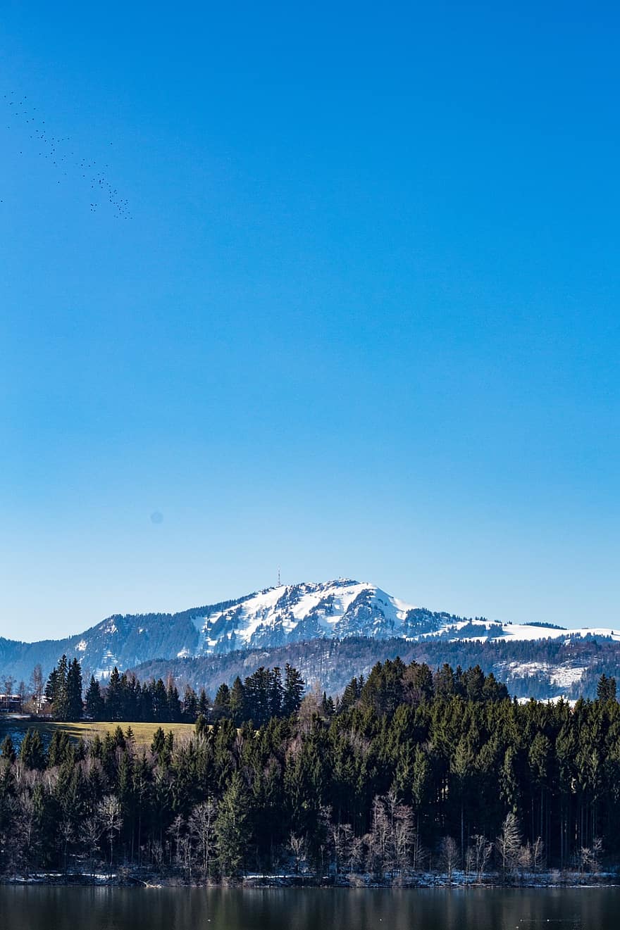 tó, Alpok, hegyek, fák, erdő, alpesi, hegység, Allgäu, túrázás, hegyre néző kilátással, bergsee