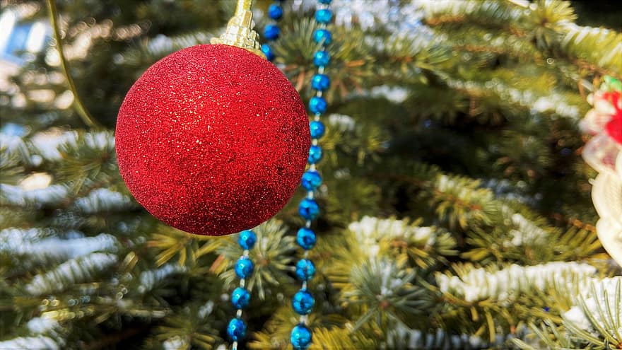 dekoravimas, sodinukai, Kalėdų eglutė, švelnus, svajonė, žiemą, apdaila, medis, Kalėdų ornamentas, šventė, Kalėdų papuošimas