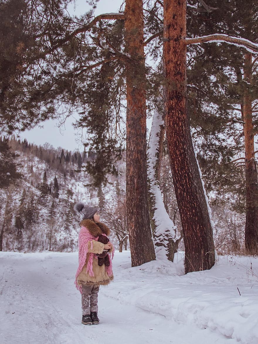 dziewczynka, dziecko, zimowy, Las, las, śnieg, ścieżka, na dworze, przechadzka, Miś, szal