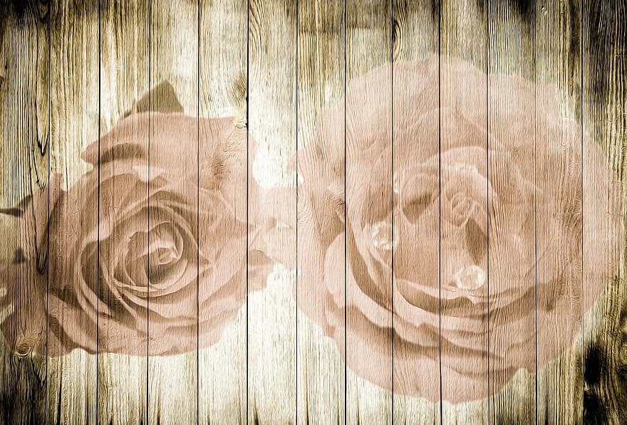 Hoa hồng trên gỗ, gỗ, hoa hồng, cổ điển, lý lịch, lãng mạn