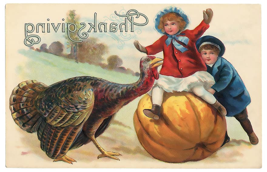 ビンテージ、感謝祭、はがき、ビクトリア朝、古い、七面鳥、子供、キッズ、男の子、女の子、かぼちゃ