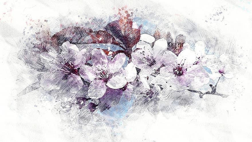 Cereza, flor, floración, flor de cerezo, cielo, primavera, rosado, cereza japonesa, rama, pétalos, naturaleza