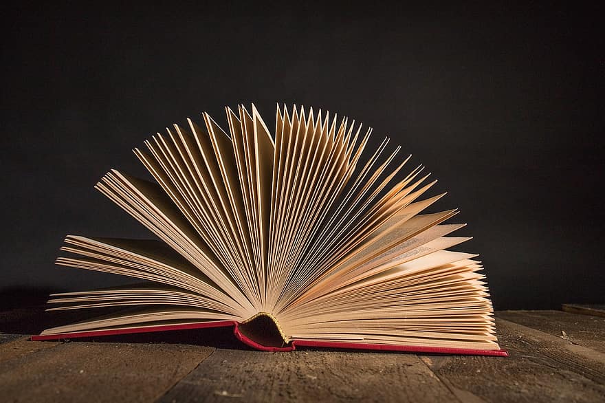 Book, halaman, cerita, fiksi, kebijaksanaan, pendidikan, fantasi, literatur, pengetahuan, Buka, bacaan