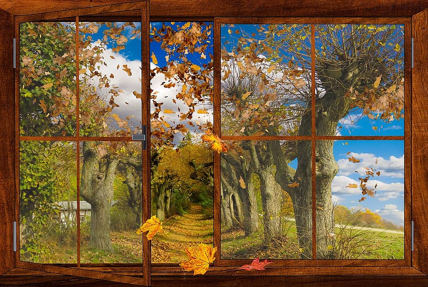 rudenī, ainavu, koks, lapas, kritums zaļumiem, logu, perspektīvas, lidošana, vējš, avenue, prom