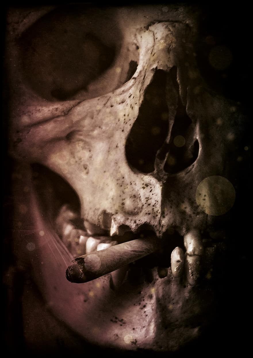 lebka a zkřížené hnáty, kouření, mrtvý, cigareta, lebka, kouř, teplouš, doutník, prospěch z, kost lebky, zvláštní