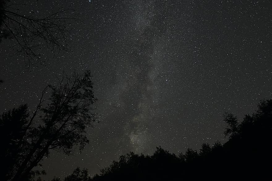 Melkeveien, stjerner, trær, silhouette, himmel, stjernehimmel, nattehimmel, natt, kveld