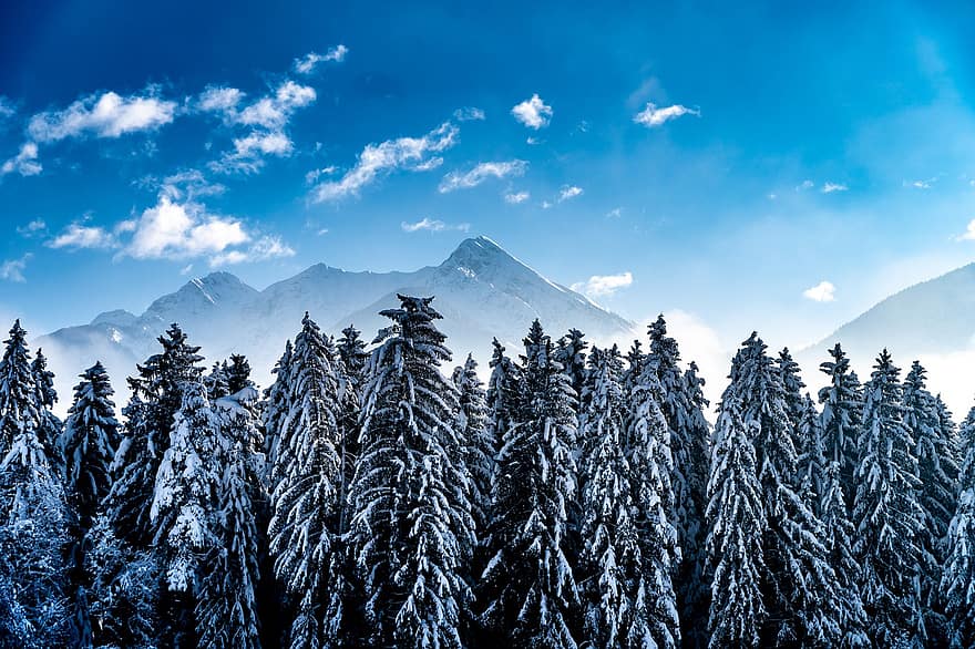 phong cảnh mùa đông, phong cảnh, Thiên nhiên, mùa đông, thiên đường, rừng, tuyết