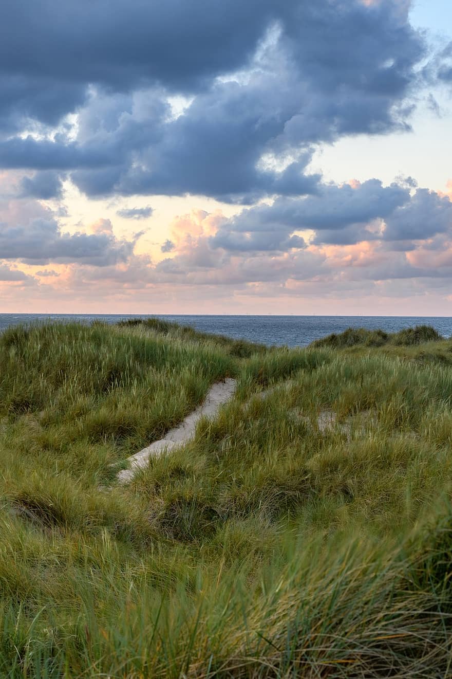 mare, iarbă, traseu, mal, coastă, apus de soare, insulă, Sylt, Germania