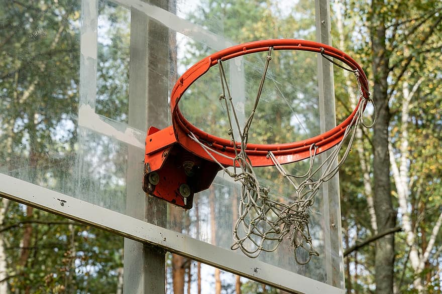 Basketballkorb, Basketball, Basketball-Rückwand, wickeln, Wald, Bäume, Sport, abspielen, Ballspiele, Freizeit, Unterhaltung