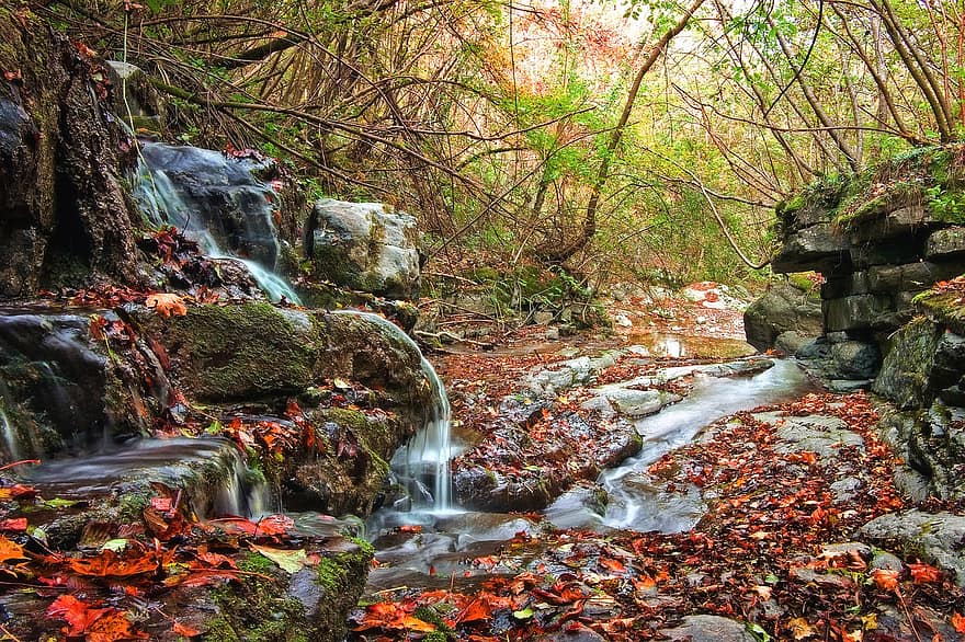foresta, ruscello, torrente, autunno, foglie cadute, foglie rosse, acqua corrente, alberi, rocce, pietre, paesaggio