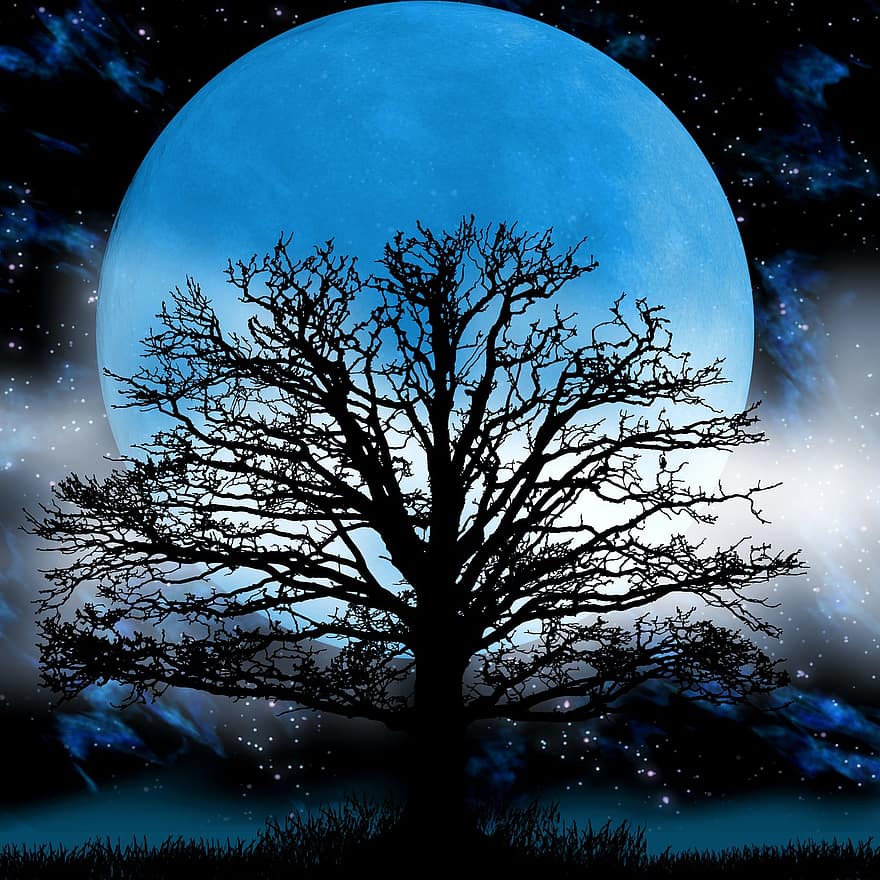 lună, copac, ceaţă, fantezie, noapte, cer, atmosfera, siluetă, lumina lunii, lună plină, dispozitie