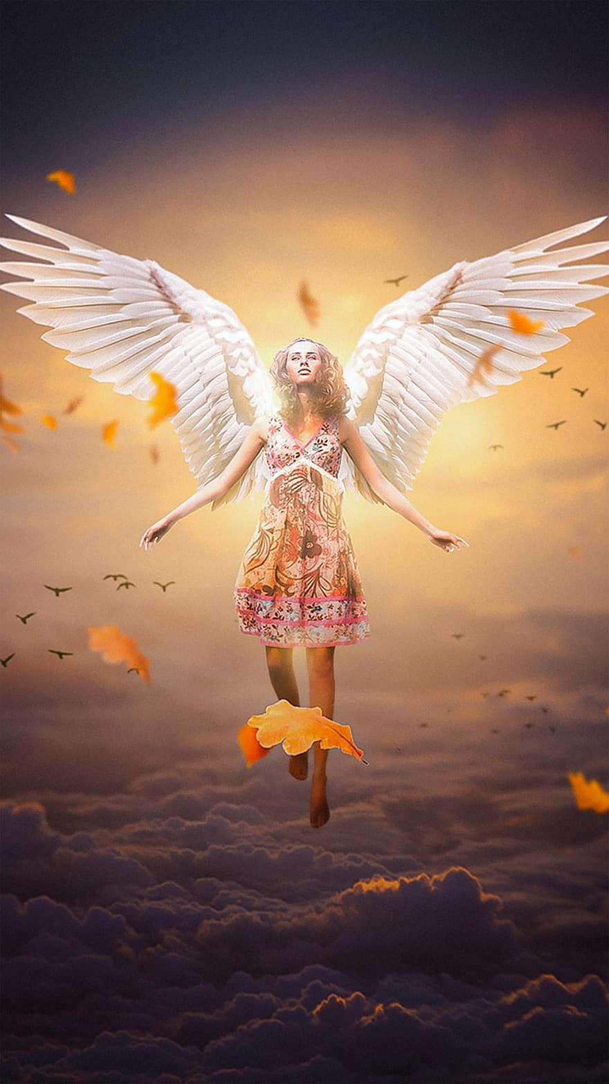 ange, femelle, ailes, femme, ailes d'anges, fantaisie, ange féminin, rêver, ciel, fille, photomontage
