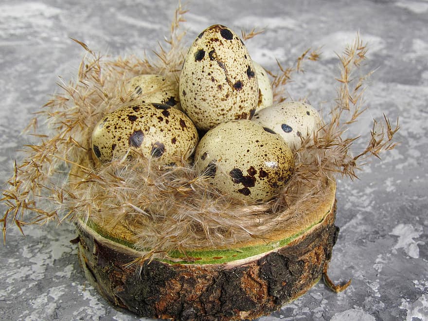 huevos, huevos de codorniz, huevos orgánicos, nido, nido de animales, decoración, temporada, celebracion, de cerca, huevo de animal, regalo
