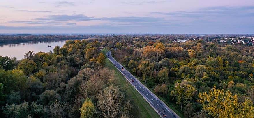 Road, Trees, River, Forest, Woods, Woodlands, Cars, Street, Avenue, Pavement, Wisla