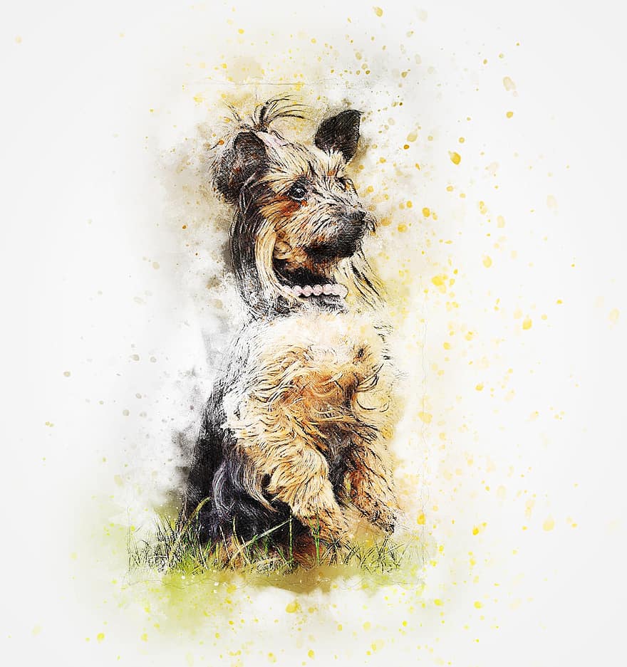 câine, portret, animal de companie, artă, abstract, epocă, acuarelă, trist, animal, natură, artistic