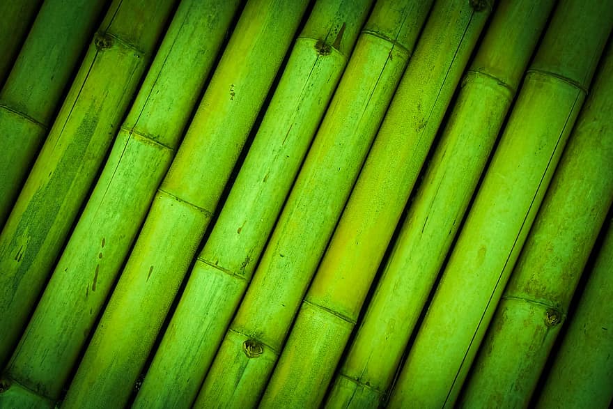 bambu, textura