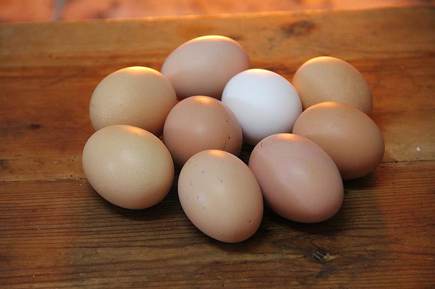 яйца, кокоши яйца, органични яйца