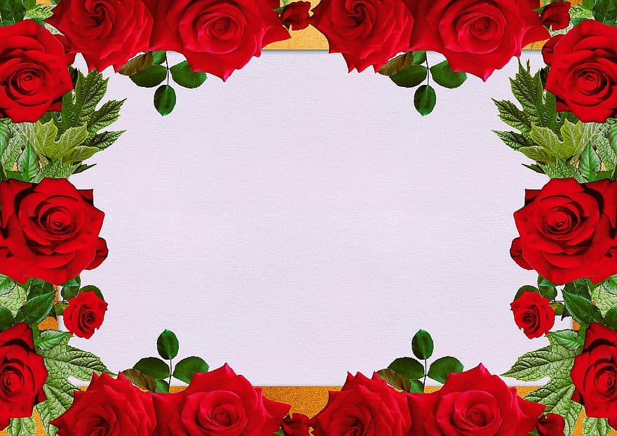 Flowers, Frame, Design, Copy Space, Roses, Floral, Invitation, Modern, Wedding, Map, Greeting Card