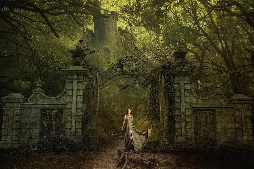 kobieta, zamek, Fantazja, zaczarowany, wieża, las, brama, twierdza, mistyczny