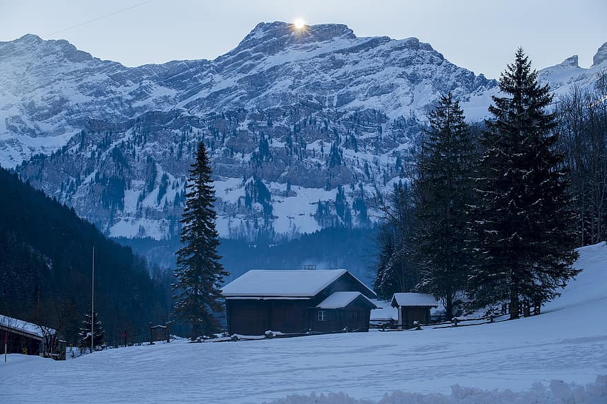casa, neve, inverno, montanha, arvores, cabine, Engelberg