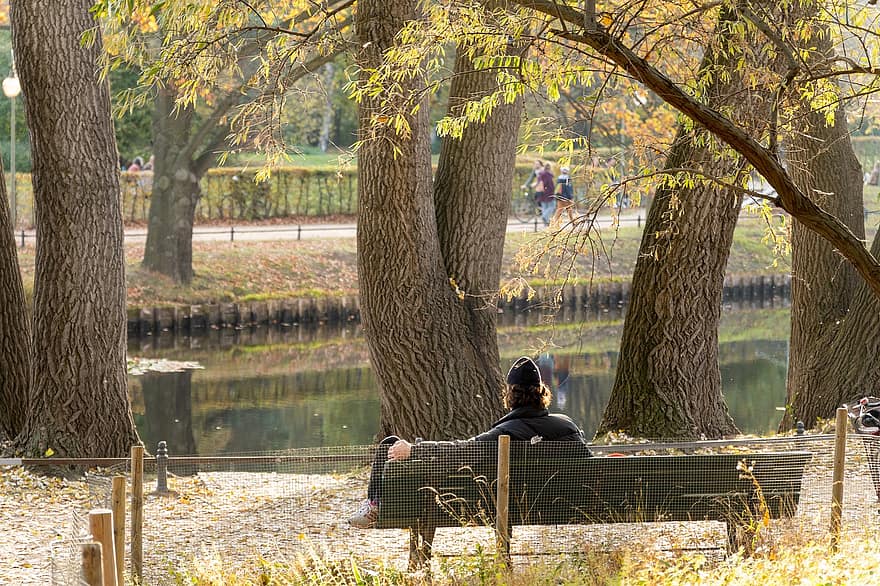 парк, пейка, природа, свободно време, на открито, езеро, есен