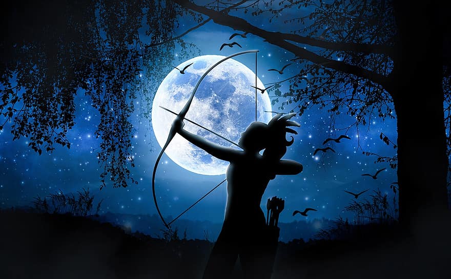 arquero, noche, bosque, naturaleza, Luna, silueta, guerrero, mujer, hembra, oscuro, árbol