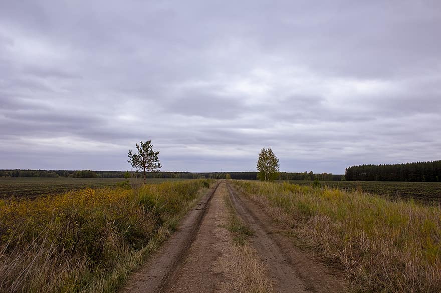 otoño, camino de tierra, campos, paisajes, la carretera, prado, campo, rural, nublado
