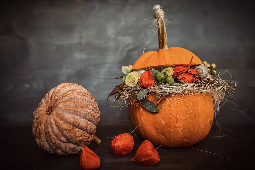 Pumpkins, Still Life, Autumn, Halloween, Thanksgiving, Pumpkin Season, Harvest, Produce, Organic, Vegetables, Decoration
