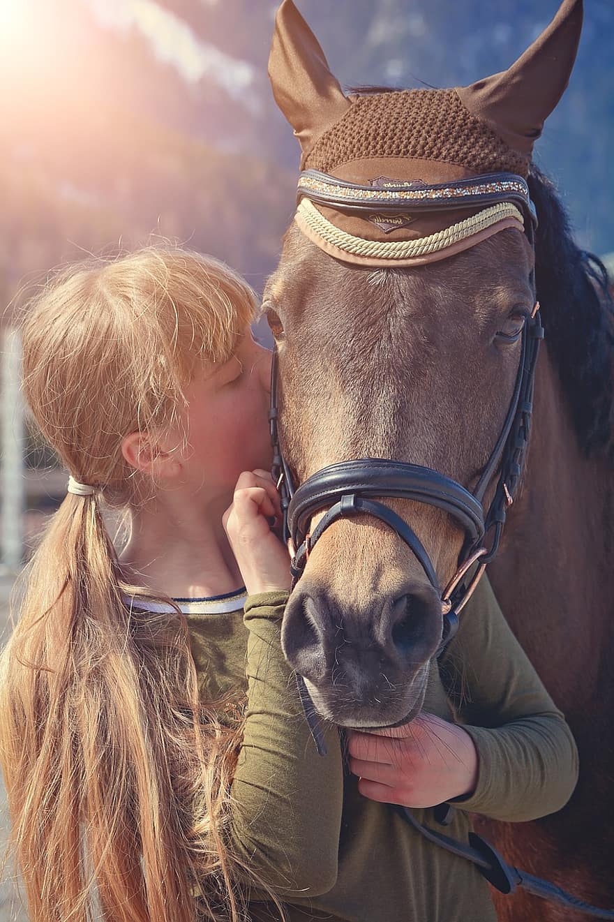 kůň, dívka, polibek, zvíře, poník, milovat, přátelé, hnědý kůň, uzda, savec, koňský